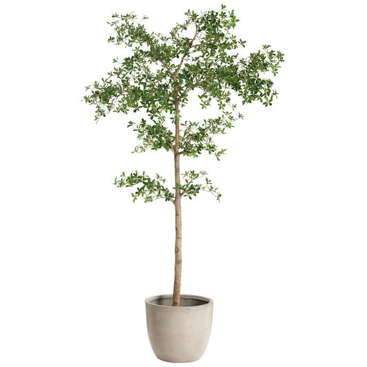 Albero Shady Lady da 8,5 piedi