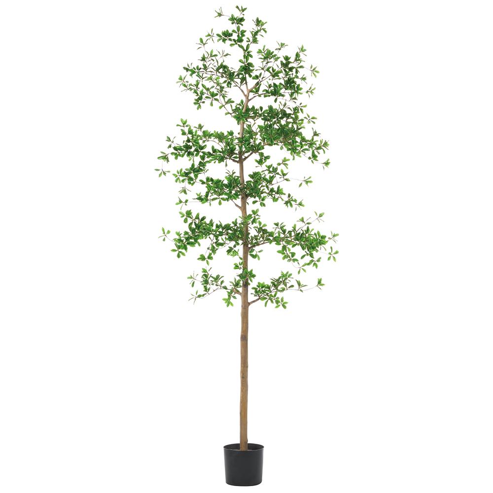 Albero ombroso da 7 piedi