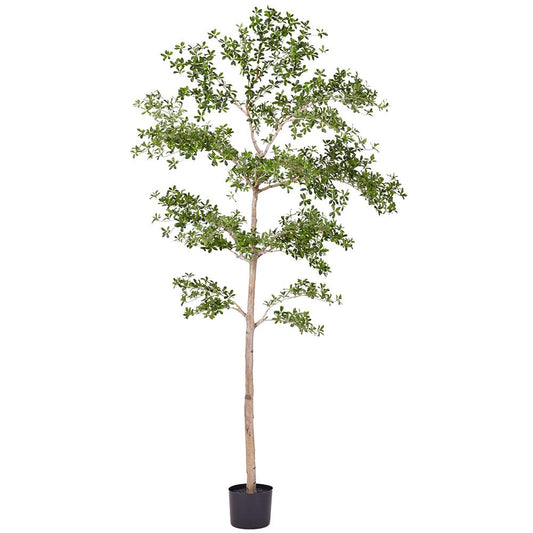 Albero Shady Lady da 9 piedi