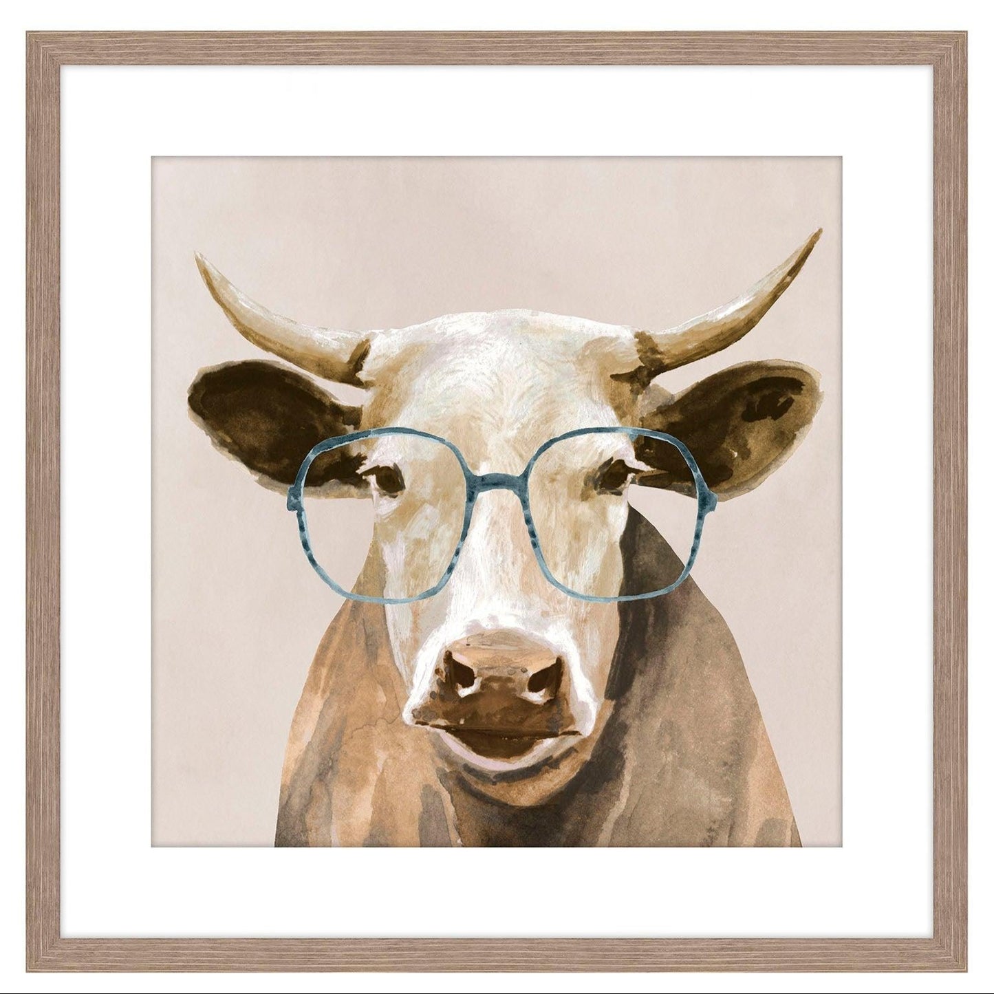 Amico Mucca