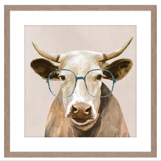Amico Mucca