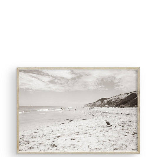 Crystal Cove Newport Beach CA di Carly Tabak