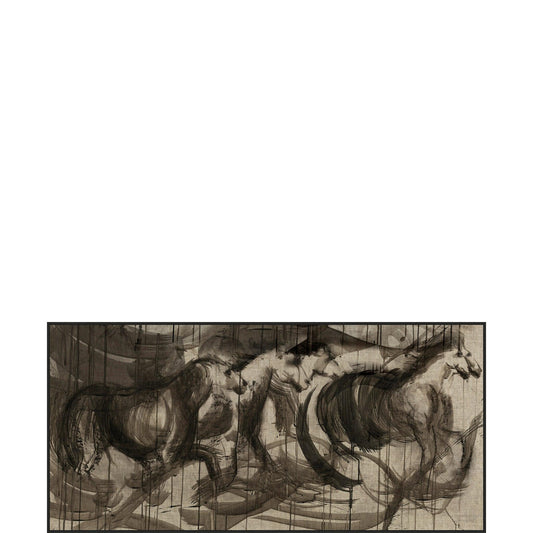 Cavallo oscuro