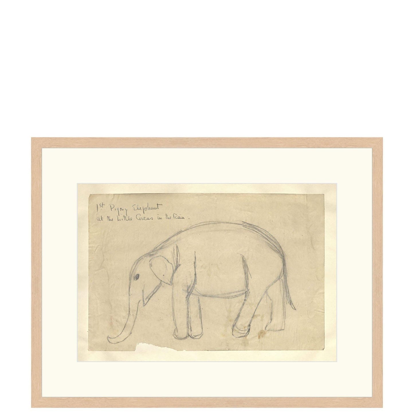 Elefante