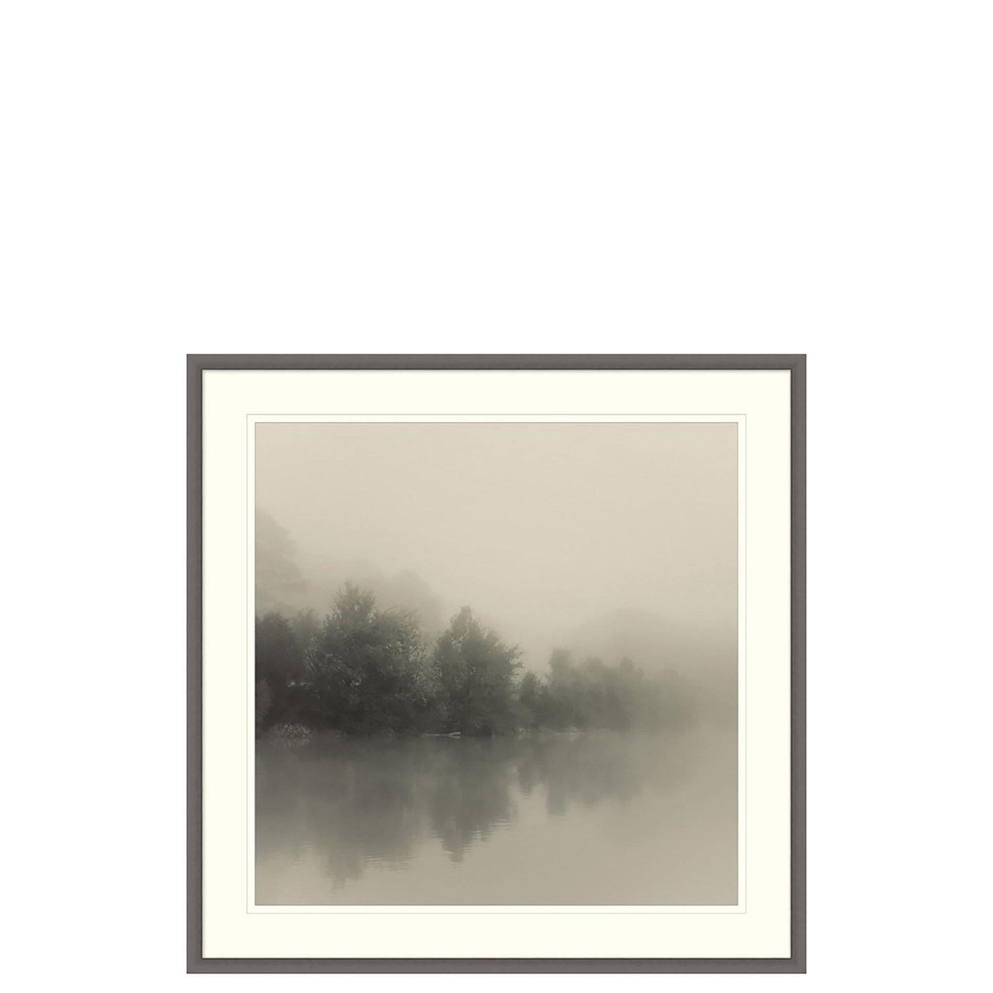 Lago nebbioso 1