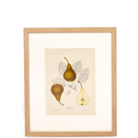 Stampa di frutta