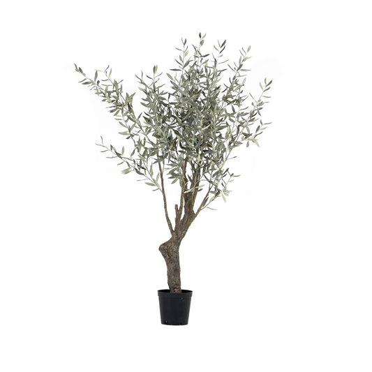 Grand Olive Tree Drop-In 6'6