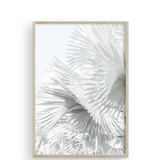 Mint Palms Hawaii di Carly Tabak