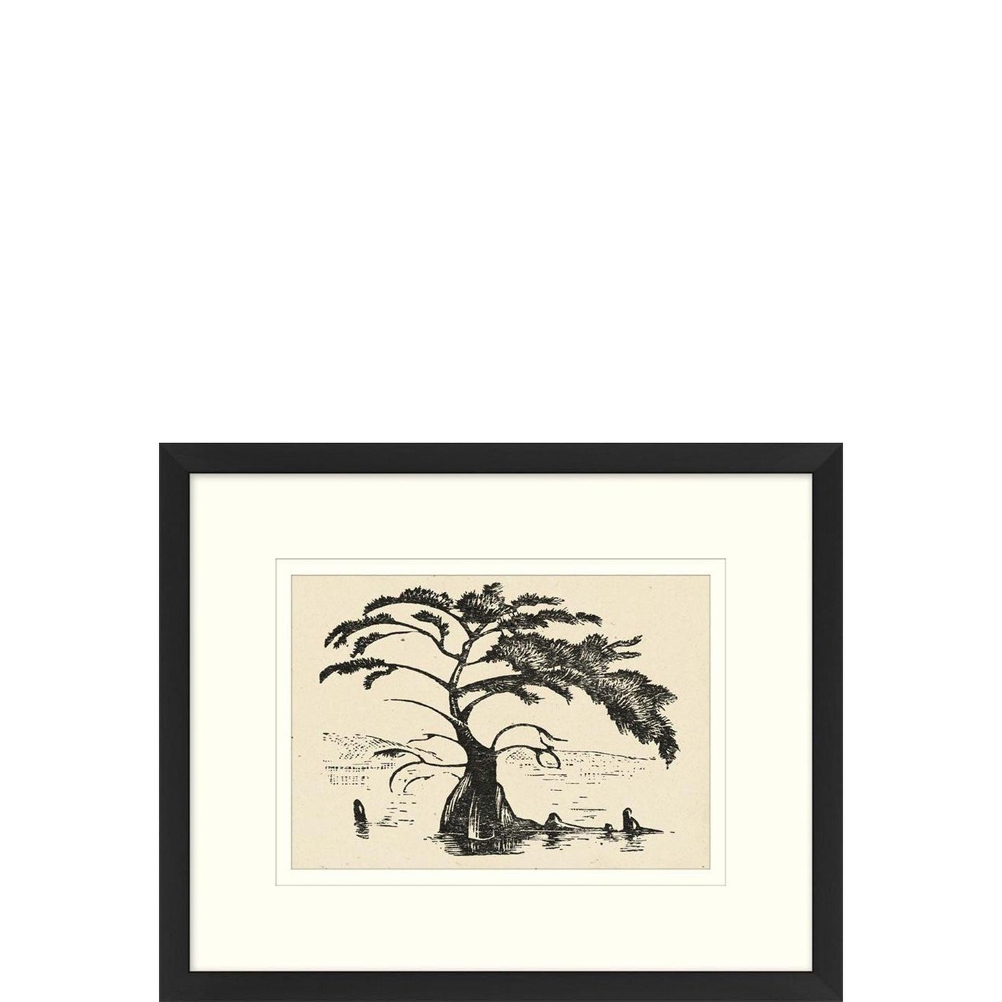 Albero dell'acqua