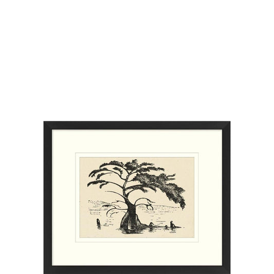 Albero dell'acqua