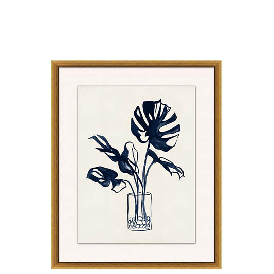 Vaso Monstera